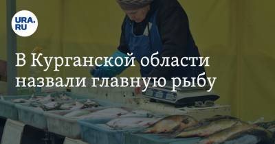 В Курганской области назвали главную рыбу - ura.news - Курганская обл.