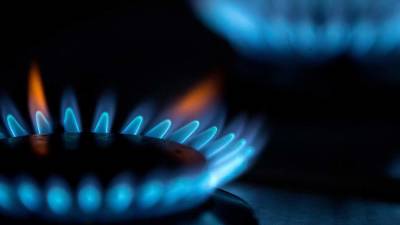 Александр Панкин - Панкин назвал невыгодными высокие цены на газ для производителей - iz.ru - Россия - Израиль