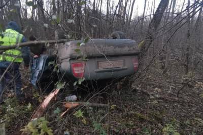 Водитель иномарки съехал в кювет и умер на месте в Островском районе - mk-pskov.ru - Россия - Псковская обл. - Псков