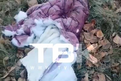 Собаки набросились на восьмилетнюю девочку в Красноярка: Разодранная одежда, волосы и шапочка - tayga.info