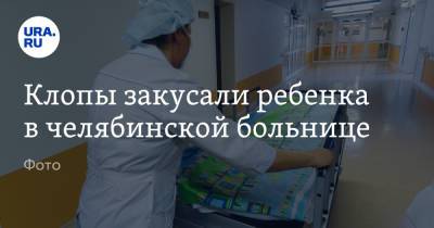 Клопы закусали ребенка в челябинской больнице. Фото - ura.news - Челябинск - район Металлургический, Челябинск