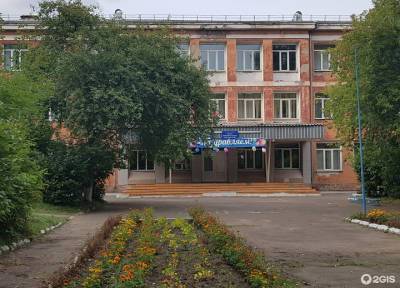 Стая бродячих собак напала на 8-летнюю девочку возле школы в Красноярске - province.ru - Красноярск
