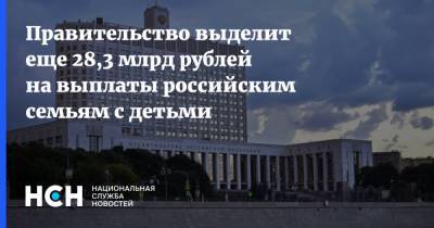 Михаил Мишустин - Правительство выделит еще 28,3 млрд рублей на выплаты российским семьям с детьми - nsn.fm - Россия
