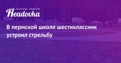 В пермской школе шестиклассник устроил стрельбу - readovka.ru - Ленинградская обл. - Пермский край - Сарс, Пермский край