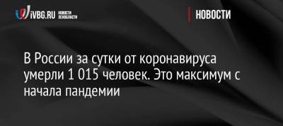 В России за сутки от коронавируса умерли 1 015 человек. Это максимум с начала пандемии - ivbg.ru - Россия - Украина - Ленинградская обл.