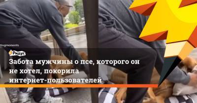 Забота мужчины опсе, которого оннехотел, покорила интернет-пользователей - ridus.ru