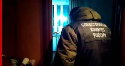 Александр Бастрыкин - СМИ опубликовали видео из квартиры родителей убитой в Вологде девочки - profile.ru - Россия - Вологодская обл. - Вологда