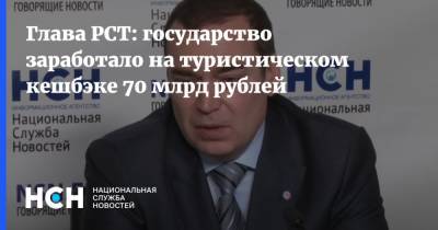 Андрей Игнатьев - Глава РСТ: государство заработало на туристическом кешбэке 70 млрд рублей - nsn.fm - Россия