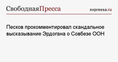 Реджеп Тайип Эрдоган - Дмитрий Песков - Песков прокомментировал скандальное высказывание Эрдогана о Совбезе ООН - svpressa.ru - Россия - США - Турция - Япония