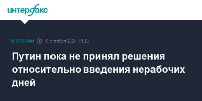Владимир Путин - Дмитрий Песков - Татьяна Голикова - Путин пока не принял решения относительно введения нерабочих дней - interfax.ru - Москва - Россия