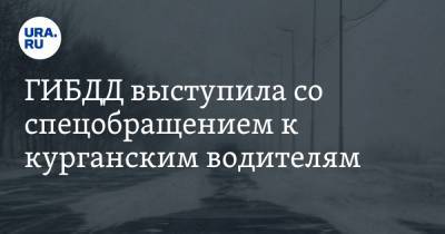 ГИБДД выступила со спецобращением к курганским водителям - ura.news