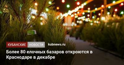 Более 80 елочных базаров откроются в Краснодаре в декабре - kubnews.ru - Краснодарский край - Краснодар - Саратовская обл. - Пермский край - Оренбургская обл. - Пензенская обл.