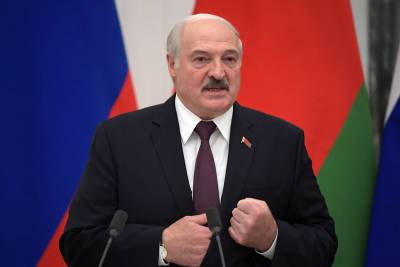 Александр Лукашенко - Лукашенко потребовал "вывернуть карманы у мерзавцев" - tvc.ru - Белоруссия