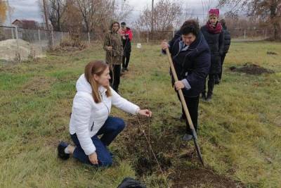 У одной из школ Моршанского района заложили фруктовый сад из 40 деревьев - tambov.mk.ru - Тамбов