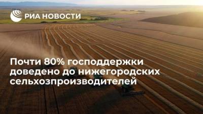 Глеб Никитин - Почти 80% господдержки доведено до нижегородских сельхозпроизводителей - smartmoney.one - Нижегородская обл.