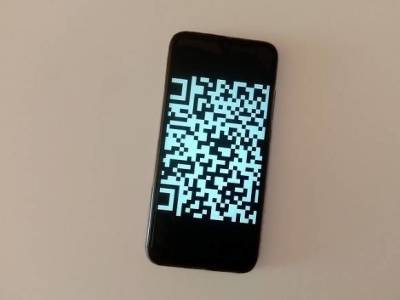 РБК: В Москве могут ввести QR-коды для посещения общественных мест - rosbalt.ru - Москва