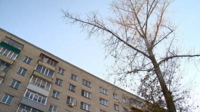 Высохший гигантский тополь на Одесской создает угрозу людям - penzainform.ru