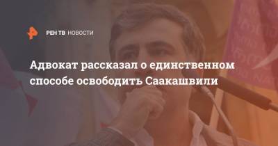 Михаил Саакашвили - Адвокат рассказал о единственном способе освободить Саакашвили - ren.tv - Грузия