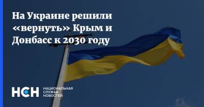 Марьяна Безуглая - На Украине решили «вернуть» Крым и Донбасс к 2030 году - nsn.fm - Украина - Крым - Донбасс
