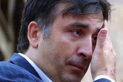 Михаил Саакашвили - Нино Ломджария - Арестованный в Грузии Саакашвили объявил голодовку - lenta.ru - Грузия - Рустави