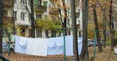 Фото «уходящей натуры» в московском дворе умилило россиян - moslenta.ru - Москва