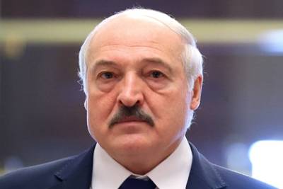 Александр Лукашенко - Роман Протасевич - Лукашенко предложил журналисту CNN лично поговорить с Протасевичем - lenta.ru - Белоруссия - Минск