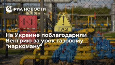 Юрий Романенко - Обозреватель Романенко: Украина ведет себя как газовый наркоман, которому преподали урок - ria.ru - Москва - Австрия - Россия - Украина - Киев - Венгрия - Сербия - Будапешт