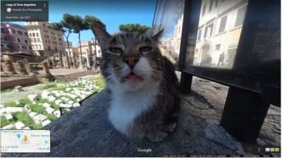 20 самых смешных и странных кадров Google Street View (18 фото) - skuke.net