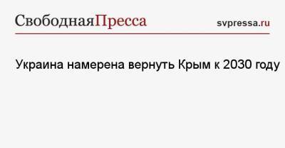 Владимир Зеленский - Реджеп Тайип Эрдоган - Марьяна Безуглая - Украина намерена вернуть Крым к 2030 году - svpressa.ru - Украина - Крым - Турция