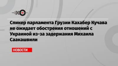 Михаил Саакашвили - Спикер парламента Грузии Кахабер Кучава не ожидает обострения отношений с Украиной из-за задержания Михаила Саакашвили - echo.msk.ru - Украина - Грузия