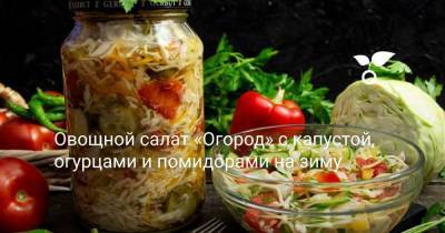 Овощной салат «Огород» с капустой, огурцами и помидорами на зиму - skuke.net