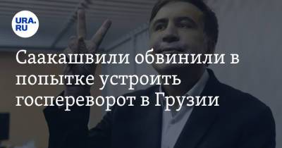 Михаил Саакашвили - Ираклий Кобахидзе - Саакашвили обвинили в попытке устроить госпереворот в Грузии - ura.news - Украина - Грузия