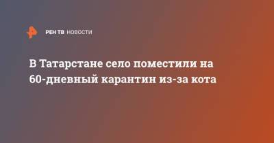 В Татарстане село поместили на 60-дневный карантин из-за кота - ren.tv - респ. Татарстан - Нижнекамск
