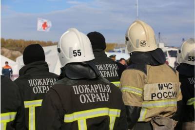 В 2021 году в Башкирии на пожарах погибли 12 детей - ufa.mk.ru - Башкирия