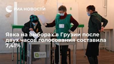 Явка на выборах в Грузии к 10:00 составила 7,41% - ria.ru - Грузия - Тбилиси