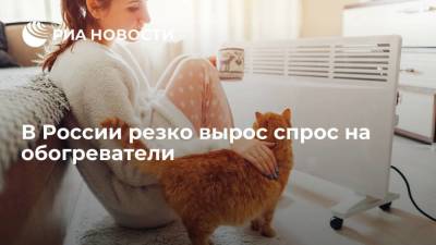 Исследование "Чек Индекс": в России резко вырос спрос на обогреватели из-за холодов - smartmoney.one - Россия