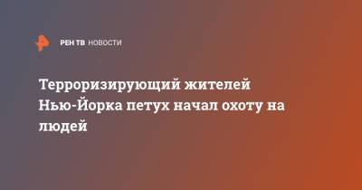 Терроризирующий жителей Нью-Йорка петух начал охоту на людей - ren.tv - США - New York - Нью-Йорк - Нью-Йорк