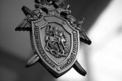 В Новосибирске старшеклассники повредили позвоночник 8-летнему мальчику – Учительская газета - ug.ru - Россия - Новосибирск - Новосибирская обл.