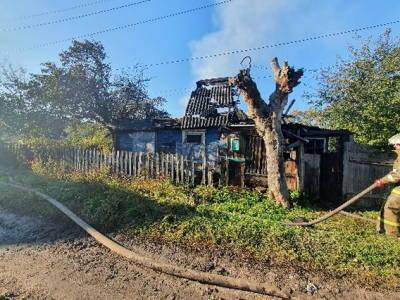 Пока смоляне ходили по делам, у них сгорел дом - rabochy-put.ru - Россия - Смоленская обл. - Рославль