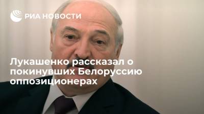 Александр Лукашенко - Светлана Тихановская - Лукашенко о покинувших Белоруссию оппозиционерах: сбежали — значит, это жулье - ria.ru - Белоруссия - Литва - Чехия - Минск