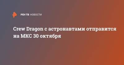 Радж Чари - Crew Dragon с астронавтами отправится на МКС 30 октября - ren.tv - США - шт.Флорида