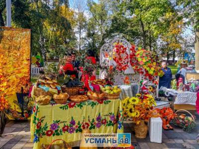 Световое шоу, выставка и сюрпризы: в Усмани отмечают День района - lipetskmedia.ru