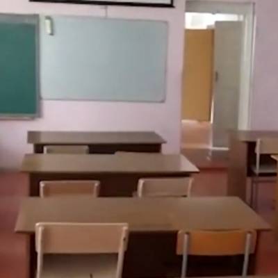 В Саратове первоклассник стал единственным учеником в школе из-за дистанционки - radiomayak.ru - Саратовская обл. - Саратов