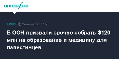 В ООН призвали срочно собрать $120 млн на образование и медицину для палестинцев - interfax.ru - Москва