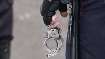 Ольга Врадий - Татьяна Петрова - Задержаны подозреваемые в убийстве супругов в Подмосковье - iz.ru - Россия - Израиль - Московская обл. - Гсуск