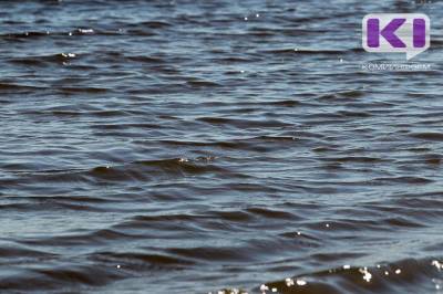 В Коми водолазы прекратили поиски мужчины, упавшего с баржи в реку - komiinform.ru - респ. Коми - район Вуктыльский