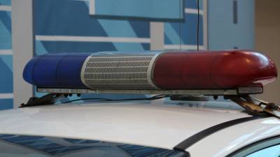 Полиция задержала предполагаемого убийцу матери и трехлетней сестры в Буграх - inforeactor.ru - Россия - Ленинградская обл. - Приморье край - р-н Всеволожский
