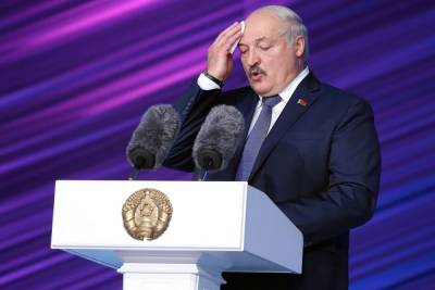 Мария Захарова - Александр Лукашенко - Анатолий Глаз - МИД Белоруссии: десяток зарубежных СМИ в очереди на интервью с Лукашенко - mk.ru - Россия - США - Белоруссия - Япония - Минск - Эмираты