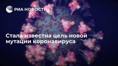 Коронавирус мутирует, чтобы быстрее и эффективнее заражать людей по воздуху - ria.ru - Москва - США - New York
