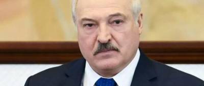 Лукашенко заявив, що готовий примусово посадити стільки літаків, скільки буде потрібно - w-n.com.ua - США - Білорусь